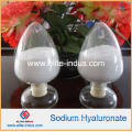 Food Grade Sodium Hyaluronate